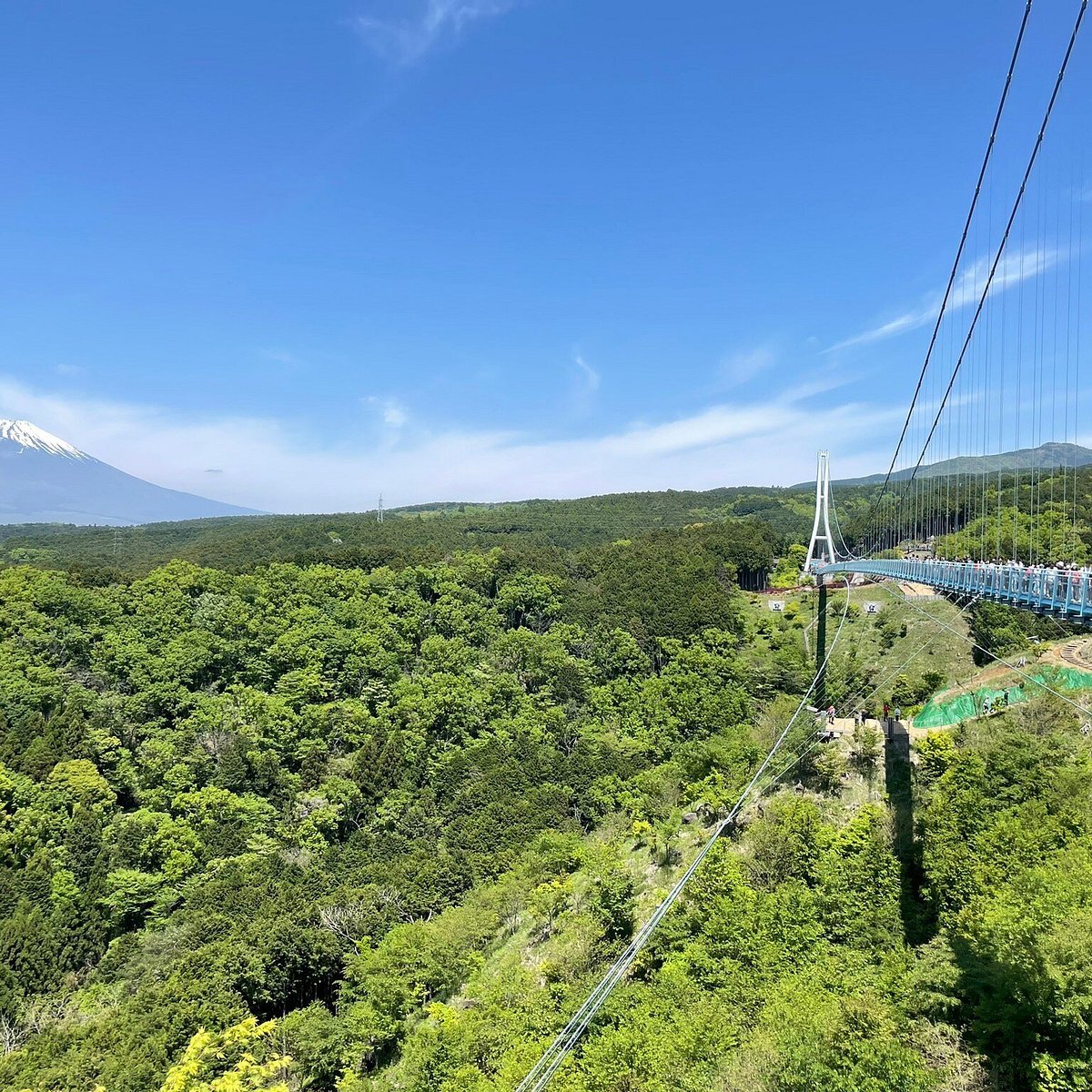🌉 미시마 스카이워크 이미지 6